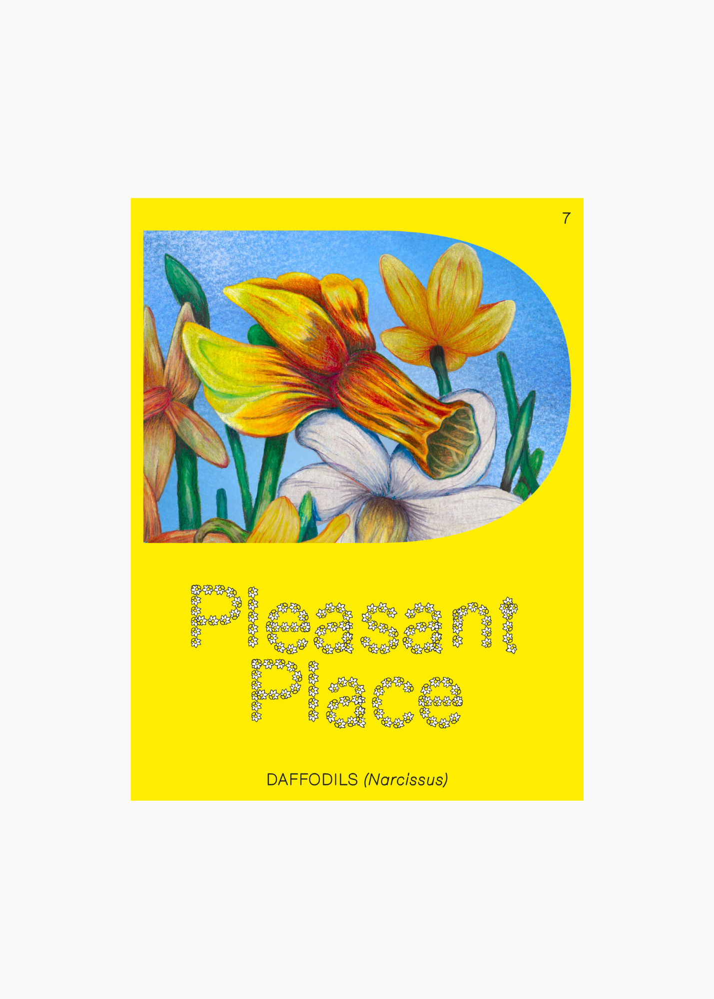Pleasant Place, Issue 7: Daffodils