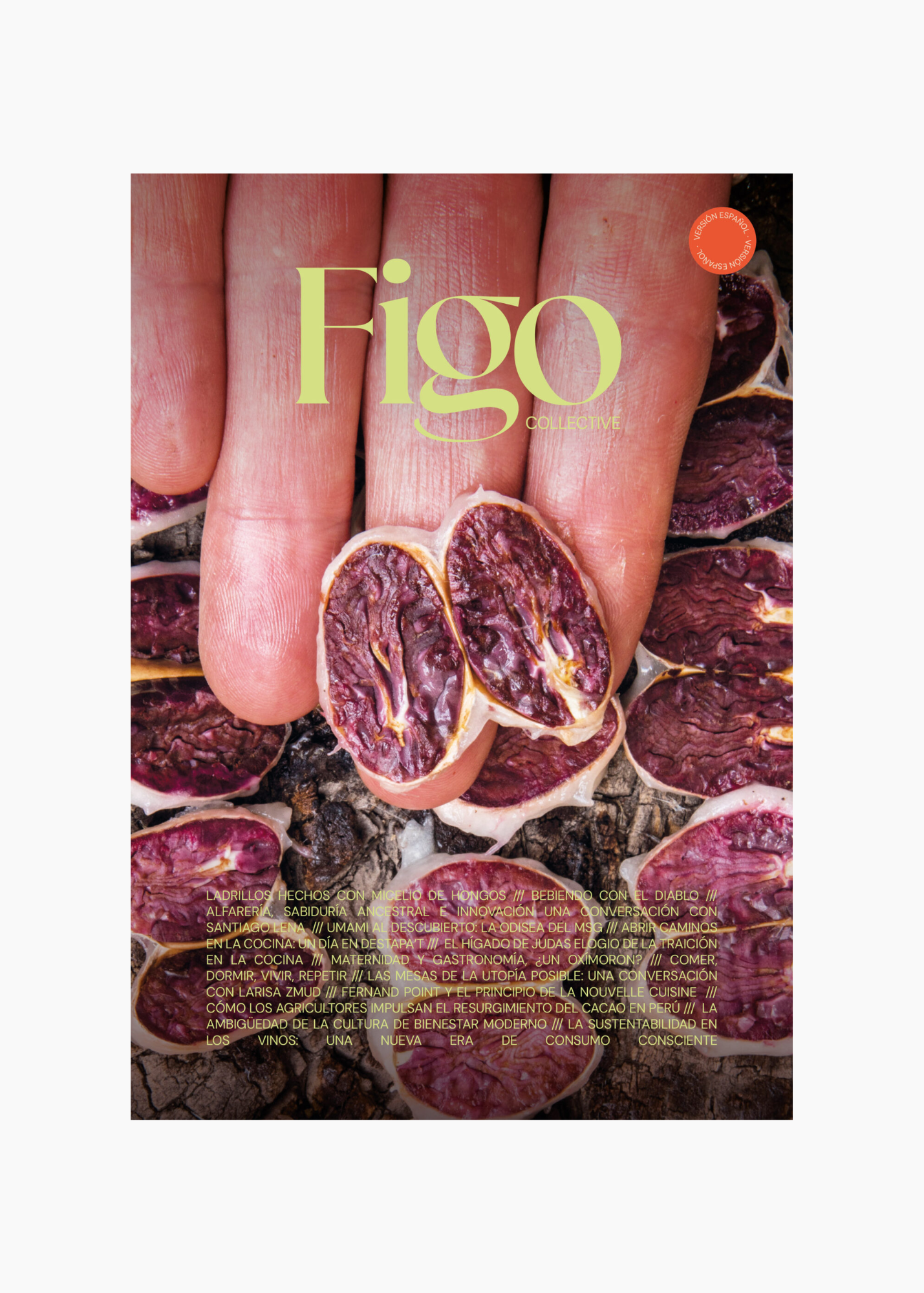 Figo Collective, Issue 2