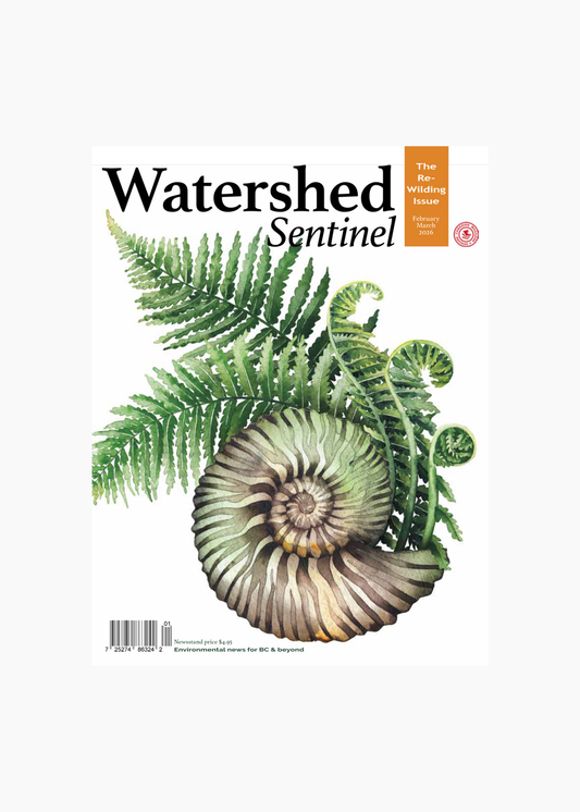 Watershed Sentinel, March '26
