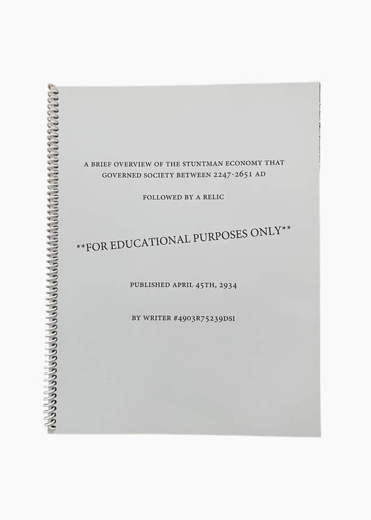 A Brief Overview of the Stuntman Economy