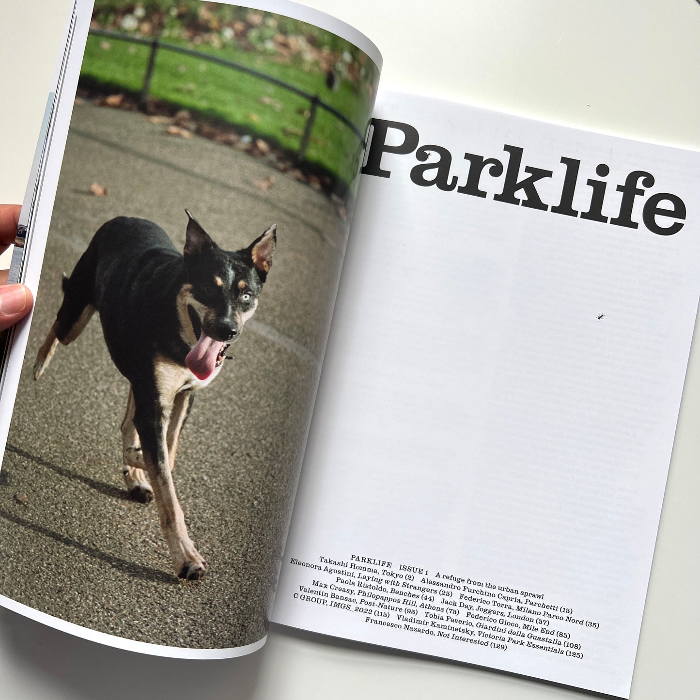 Parklife, Issue 1