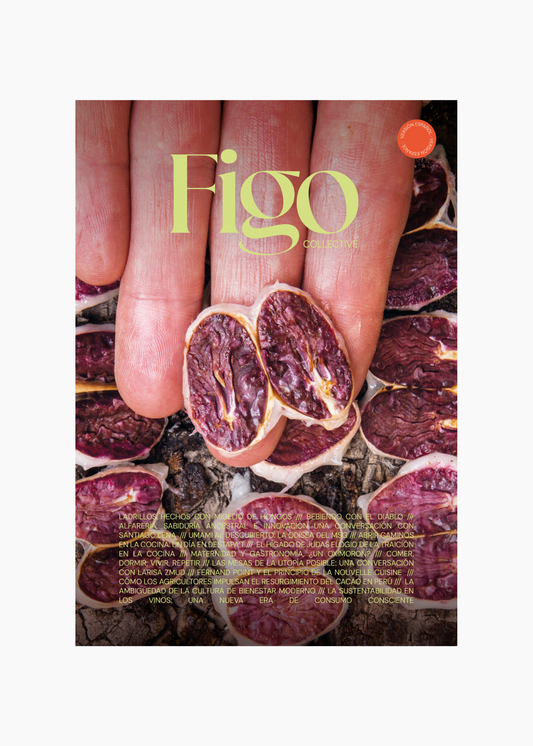 Figo Collective, Issue 2