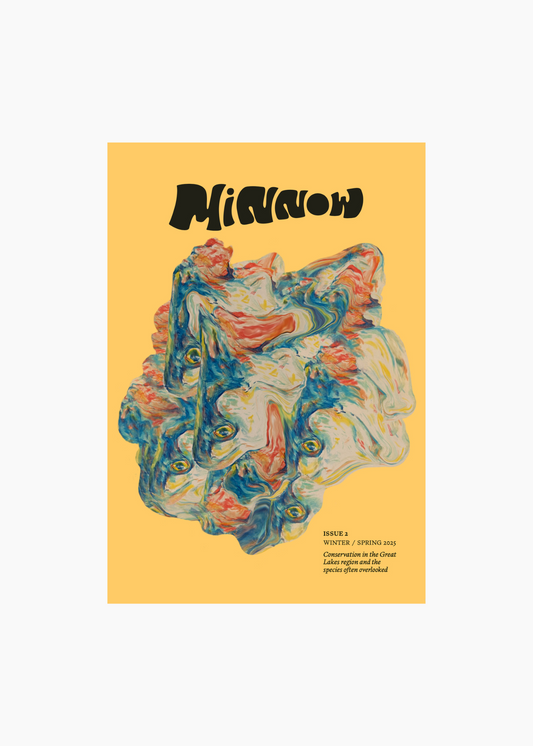 Minnow, Issue 02