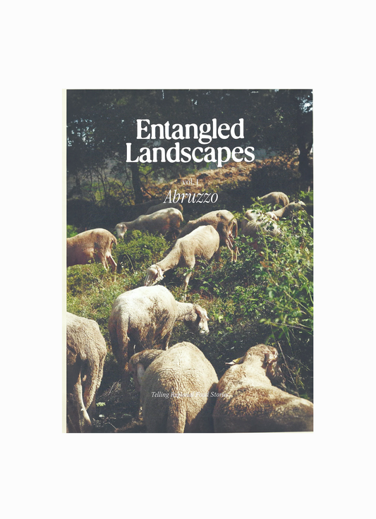 Entangled Landscapes, Issue 01