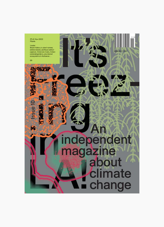 It's Freezing in LA, Issue 10