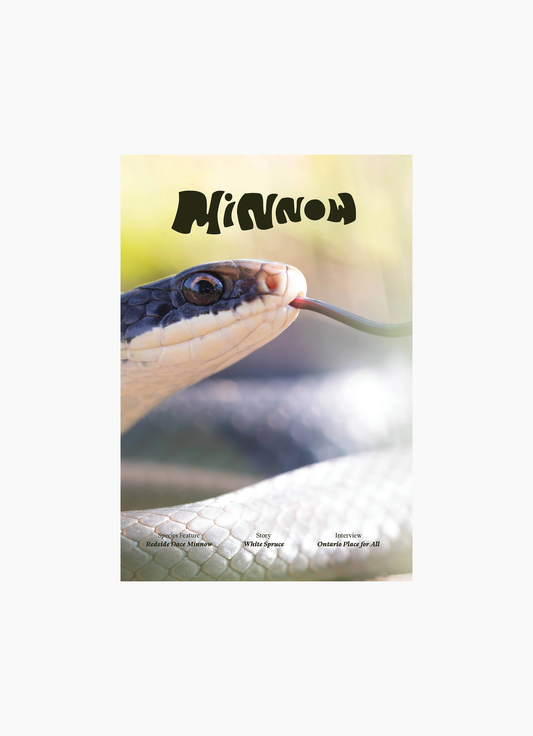 Minnow, Issue 01