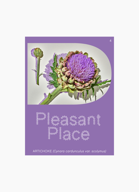 Pleasant Place, Issue 4: Artichoke